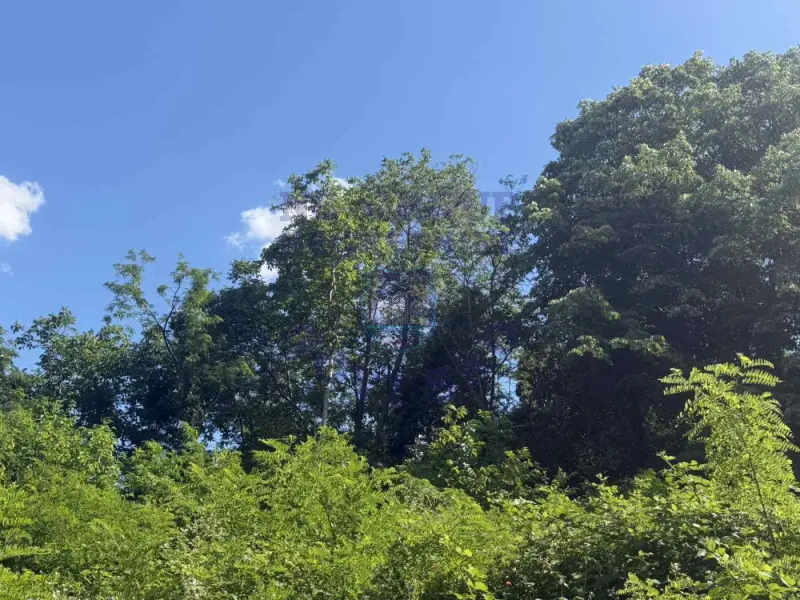 plac na prodaju Sremski Karlovci 6438m2 561319