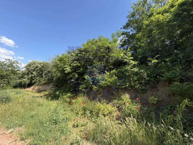 plac na prodaju Sremski Karlovci, 2561m2 561316