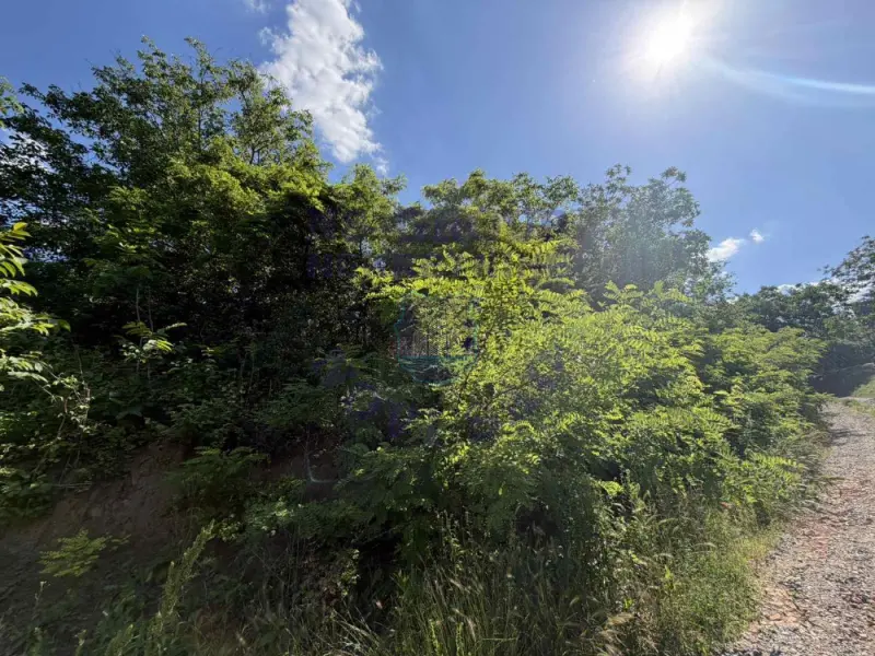 plac na prodaju Sremski Karlovci 2561m2 561316