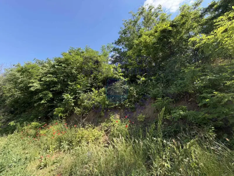 plac na prodaju Sremski Karlovci 2561m2 561316