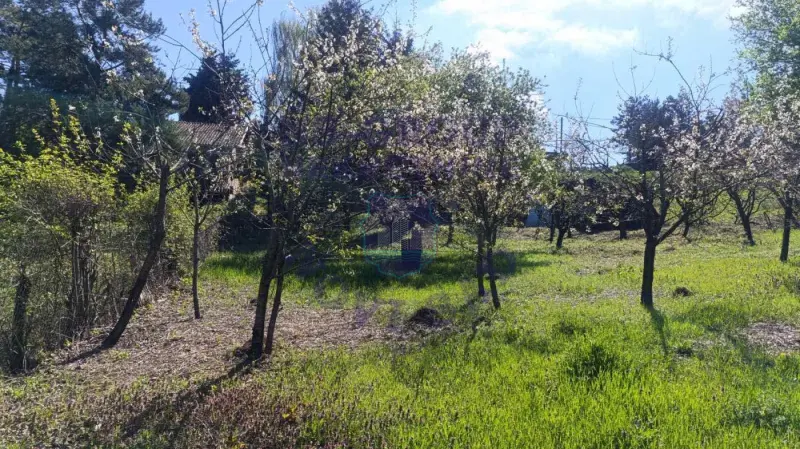 kuca na prodaju Sremska Kamenica 40m2 572439