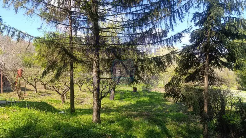 kuca na prodaju Sremska Kamenica 40m2 572439