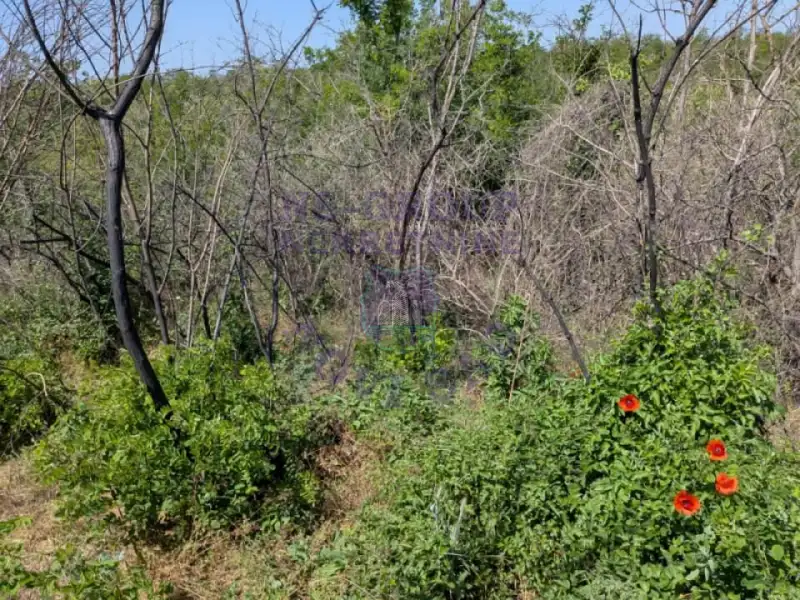 plac na prodaju Krušedol, 13510m2 565394
