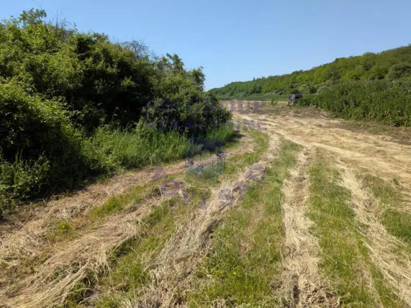 plac na prodaju Krušedol 4246m2 561138