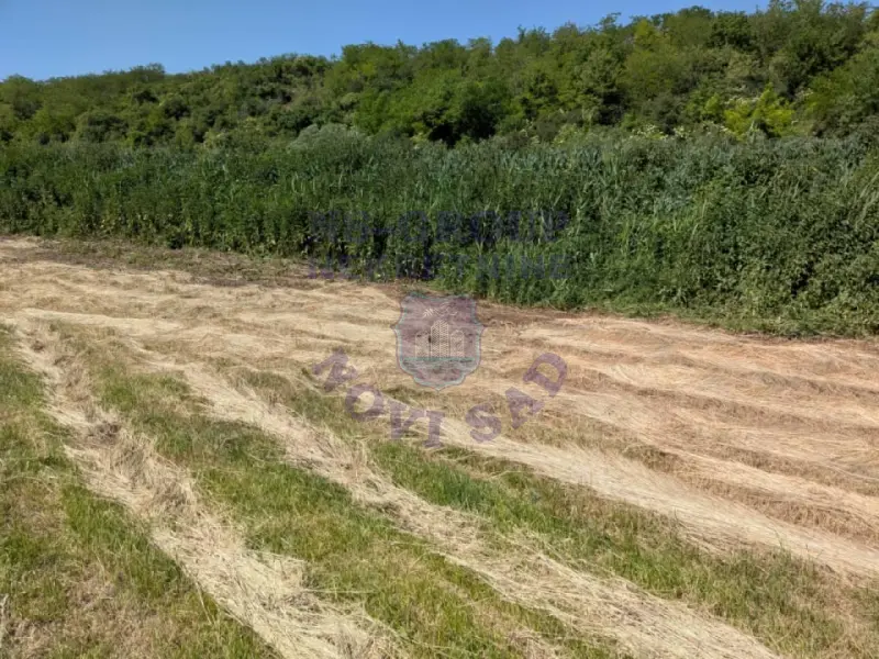 plac na prodaju Krušedol, 1219m2 561136