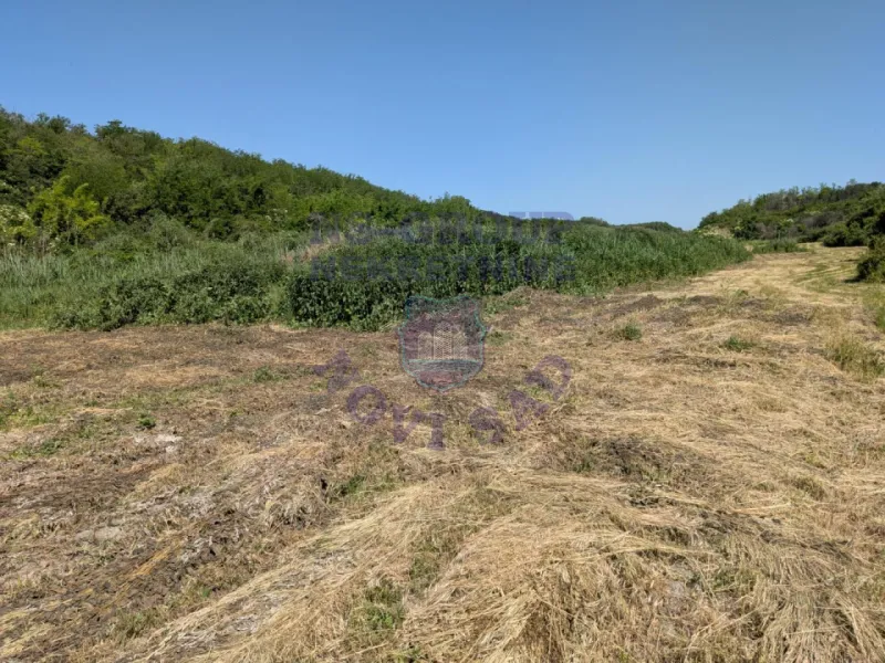 plac na prodaju Krušedol 1219m2 561136