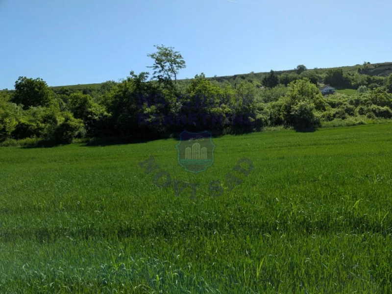 plac na prodaju Krušedol 4536m2 561135