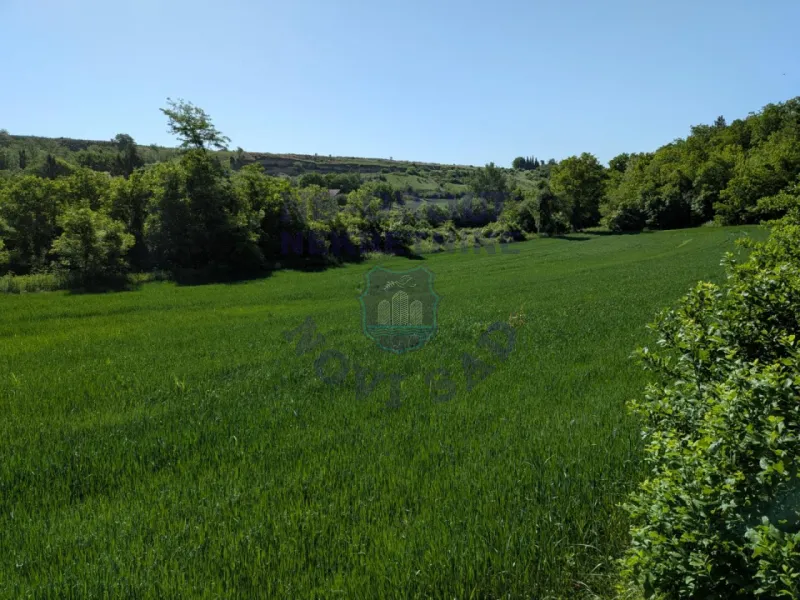 plac na prodaju Krušedol, 3509m2 561134