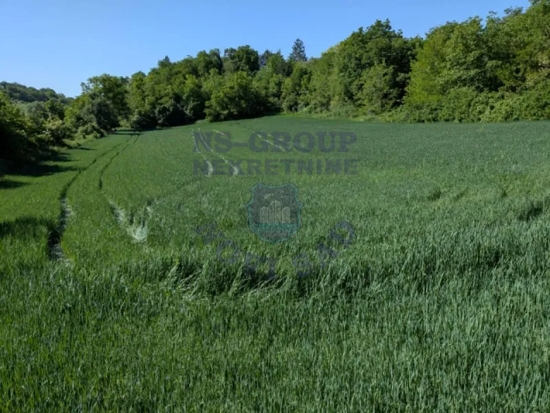plac na prodaju Krušedol 3509m2 561134