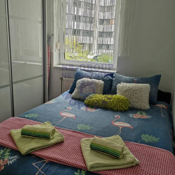 stan za izdavanje Novi Sad 31m2 16641