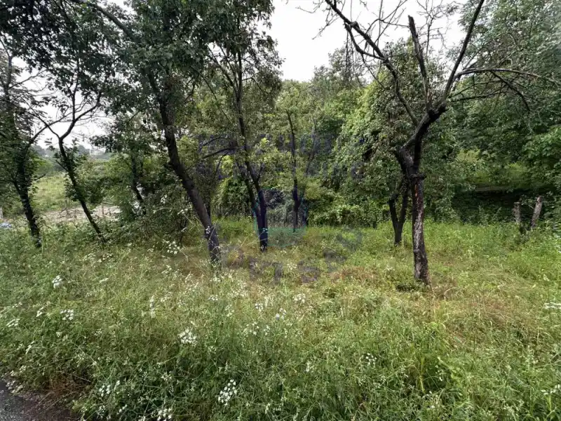 plac na prodaju Sremska Kamenica, 860m2 572775