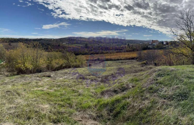plac na prodaju Sremska Kamenica 2446m2 572751