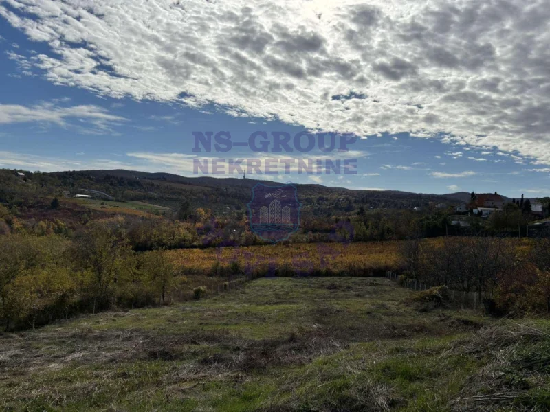 plac na prodaju Sremska Kamenica 2446m2 572751