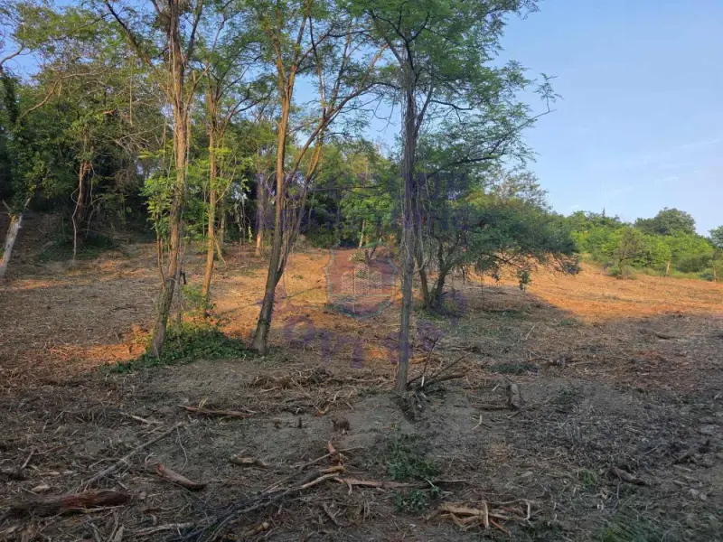 plac na prodaju Sremska Kamenica, 3900m2 572724