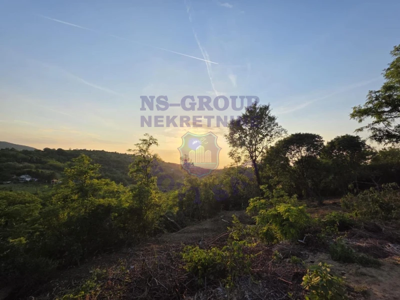 plac na prodaju Sremska Kamenica 3900m2 572724