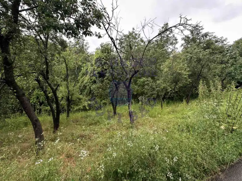 plac na prodaju Sremska Kamenica 860m2 572775