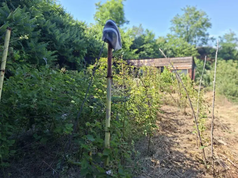 kuca na prodaju Sremska Kamenica 20m2 572720