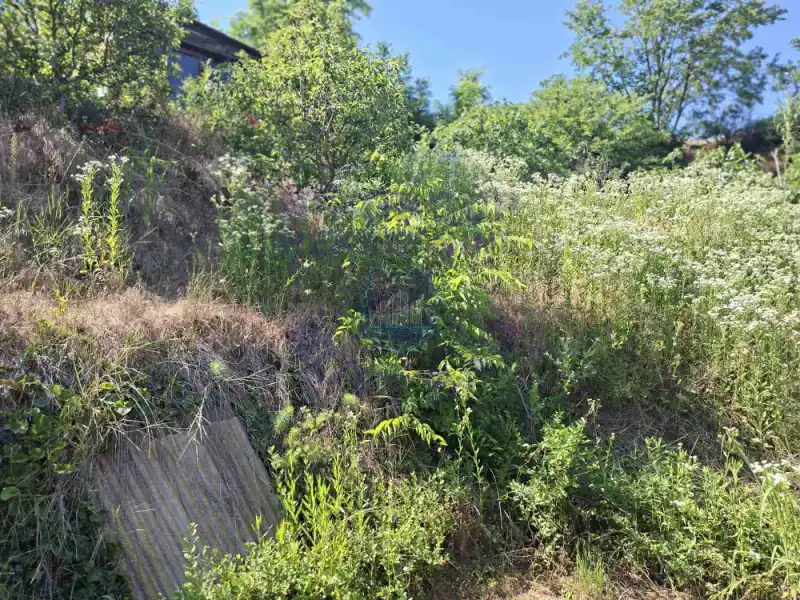 kuca na prodaju Sremska Kamenica, 20m2 572720