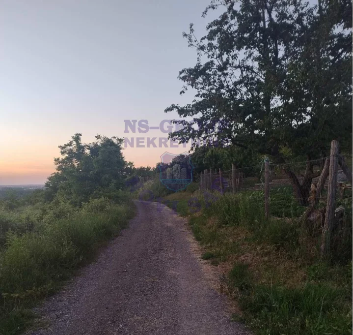plac na prodaju Ledinci 5004m2 524300