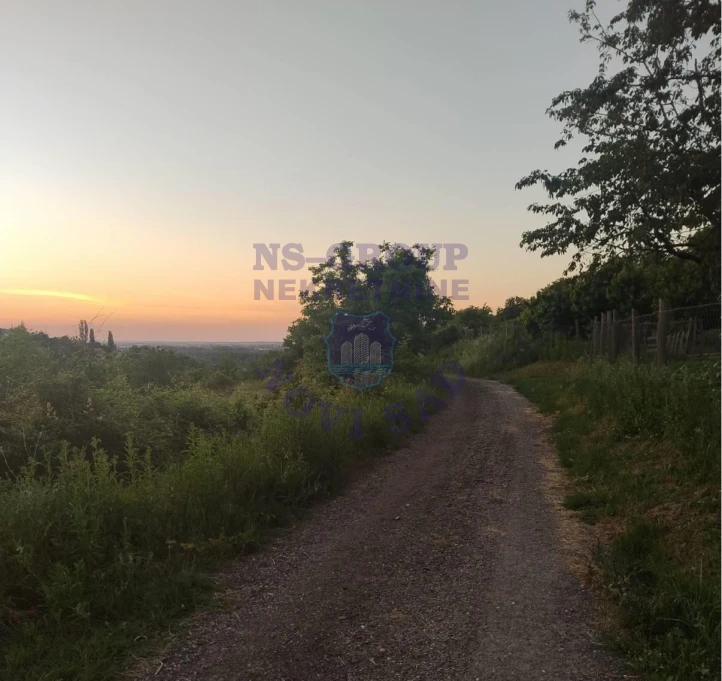 plac na prodaju Ledinci 5004m2 524300