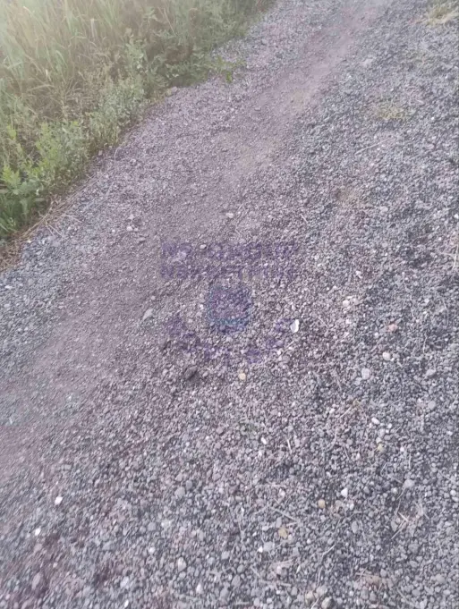 plac na prodaju Ledinci 5004m2 524300
