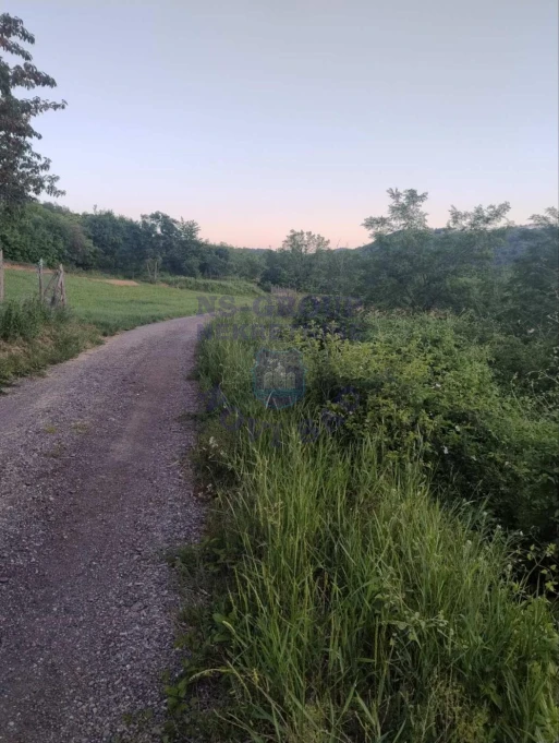 plac na prodaju Ledinci 5004m2 524300