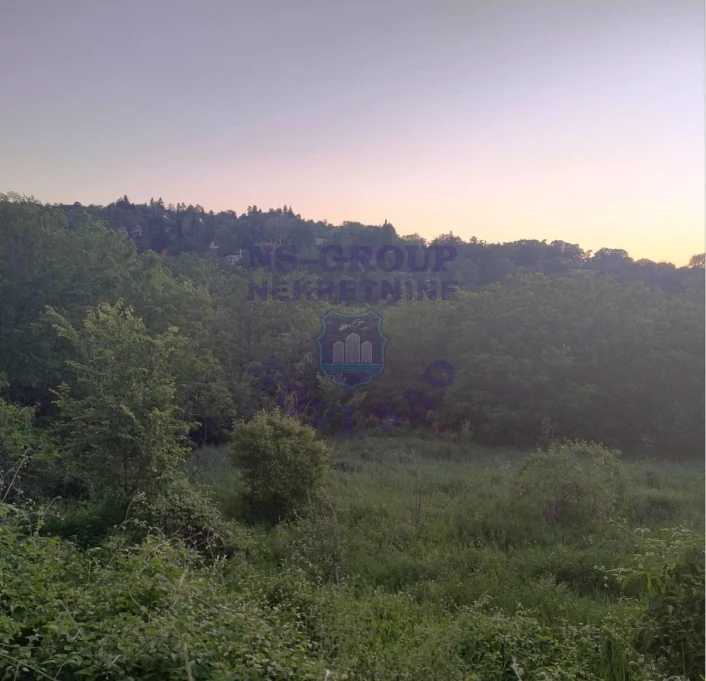 plac na prodaju Ledinci 5004m2 524300