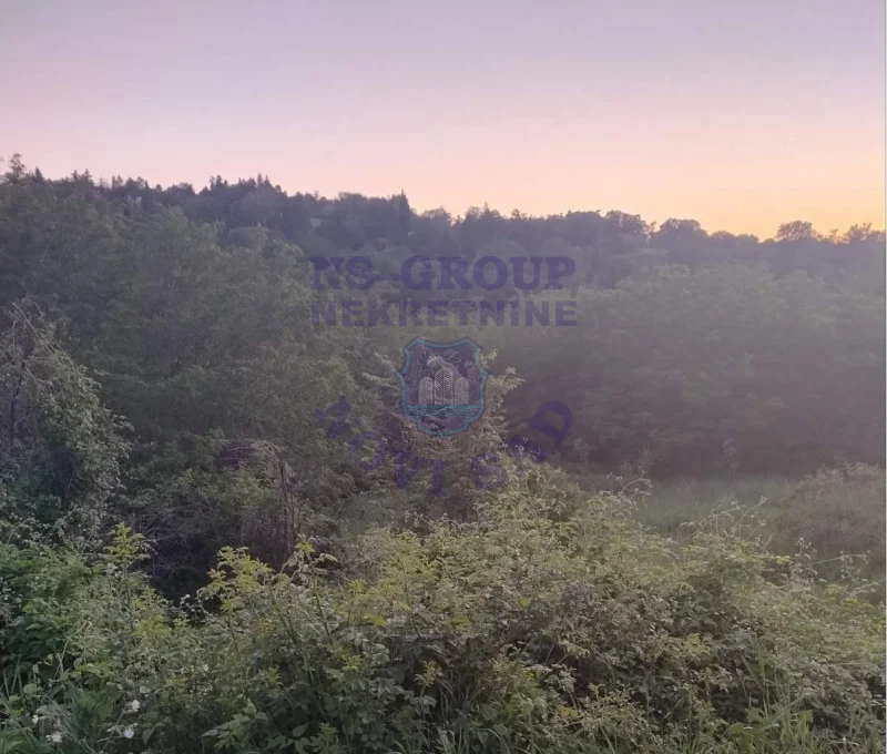 plac na prodaju Ledinci 5004m2 524300