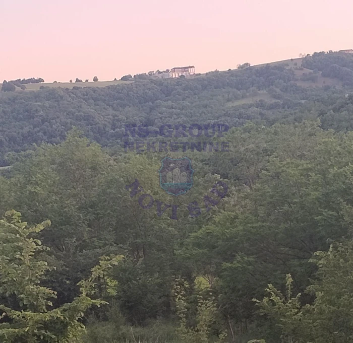 plac na prodaju Ledinci 5004m2 524300