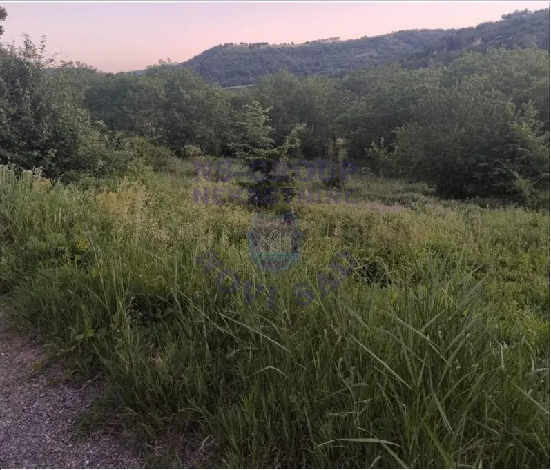 plac na prodaju Ledinci 5004m2 524300