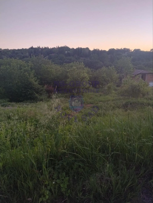 plac na prodaju Ledinci 5004m2 524300