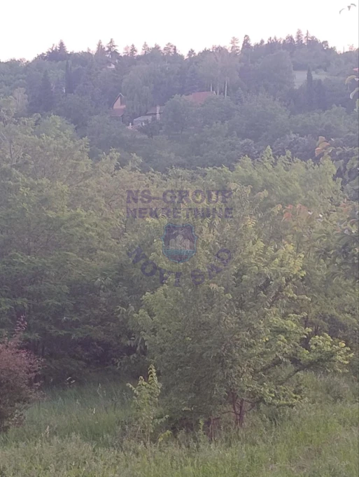 plac na prodaju Ledinci 5004m2 524300