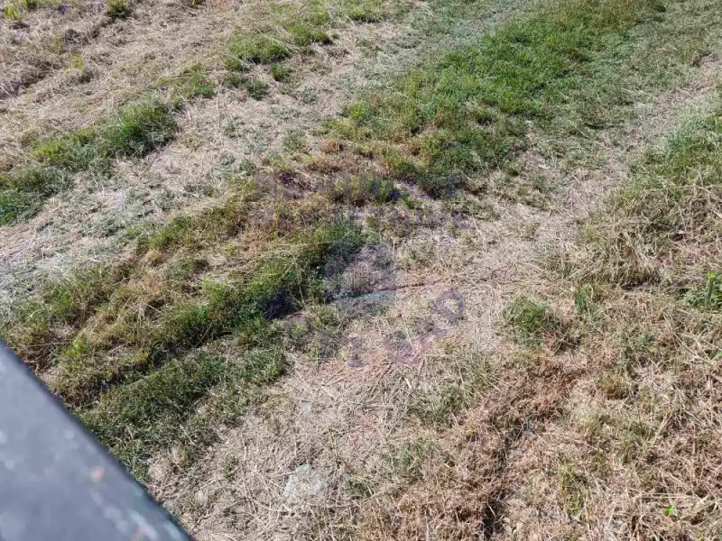 plac na prodaju Novi Sad 300m2 572814