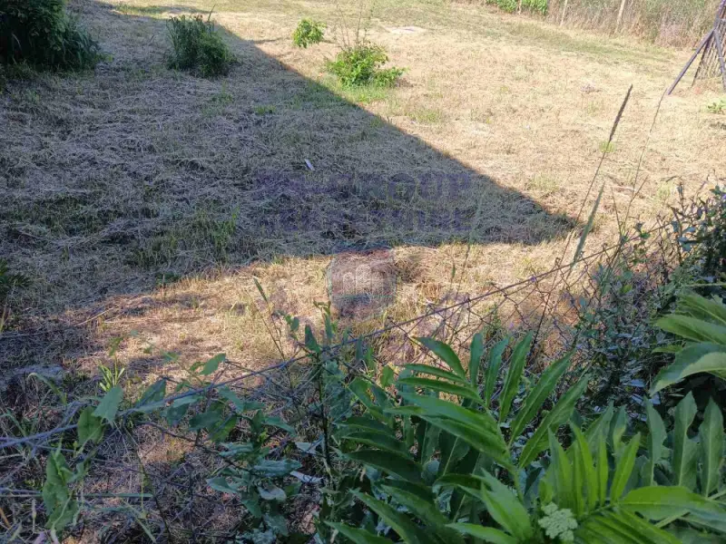 plac na prodaju Novi Sad 300m2 572814