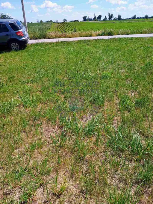 plac na prodaju Begeč 1638m2 572945