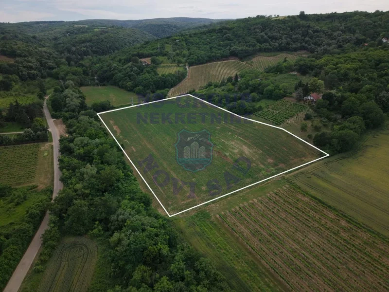 plac na prodaju Sremska Kamenica 25300m2 553676
