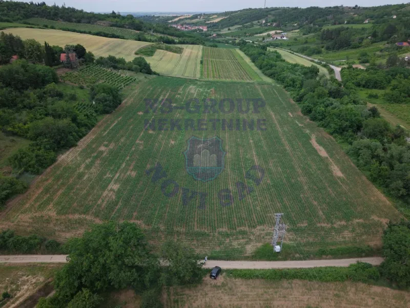 plac na prodaju Sremska Kamenica 25300m2 553676