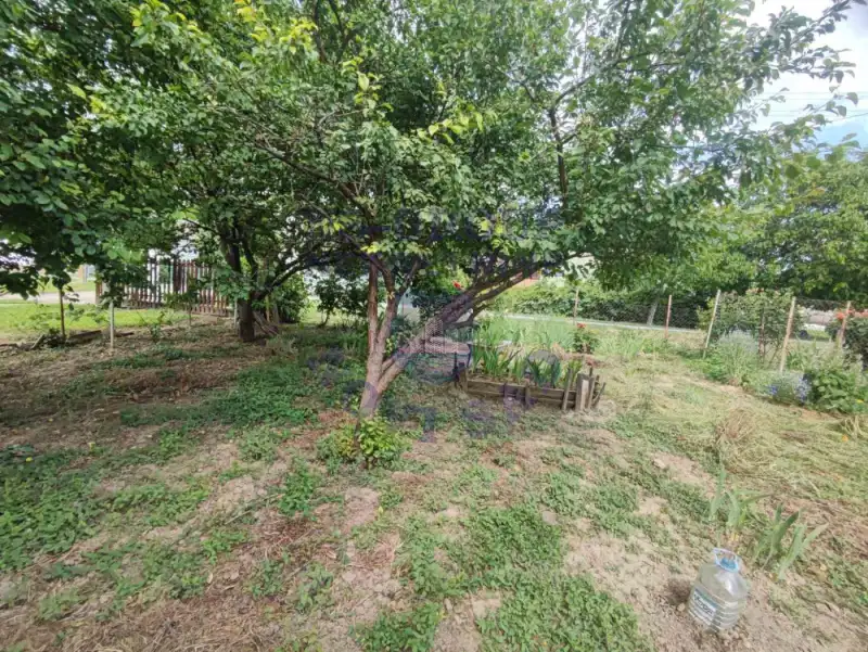 kuca na prodaju Begeč 65m2 572991