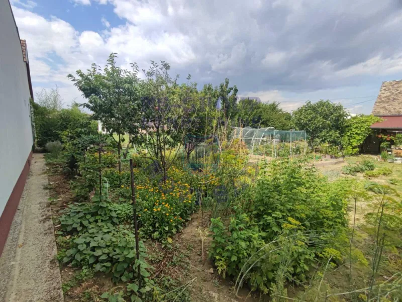 kuca na prodaju Begeč 65m2 572991