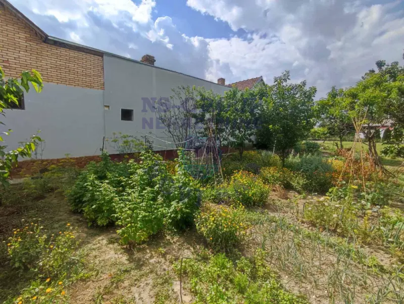 kuca na prodaju Begeč 65m2 572991