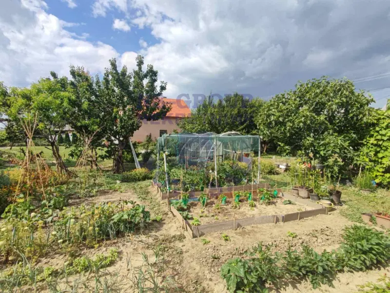 kuca na prodaju Begeč 65m2 572991