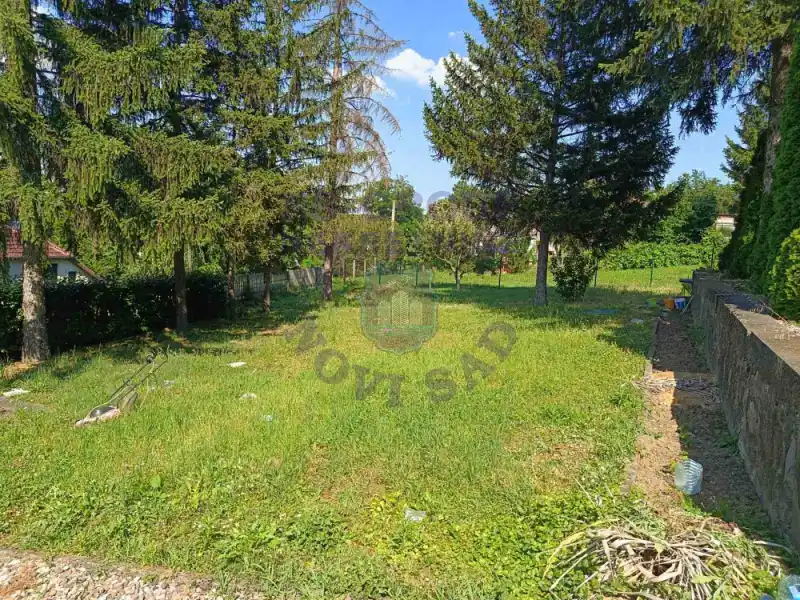 kuca na prodaju Rakovac 298m2 571748
