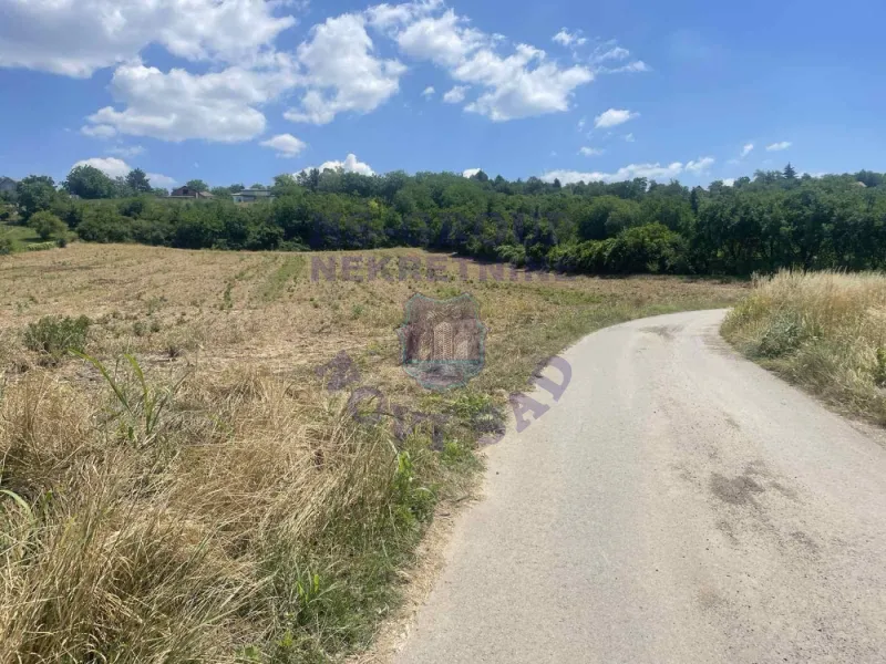 plac na prodaju Petrovaradin 627m2 572858