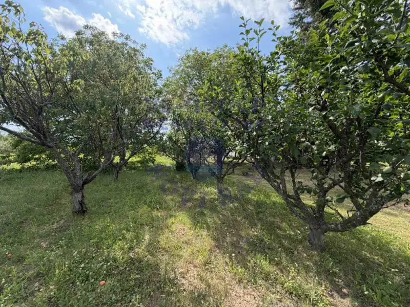 kuca na prodaju Vrdnik 58m2 573094