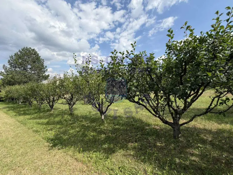 kuca na prodaju Vrdnik 58m2 573094