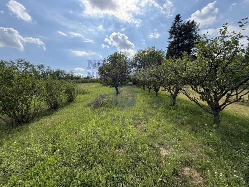 kuca na prodaju Vrdnik 58m2 573094