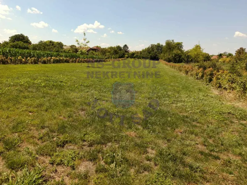 plac na prodaju Bački Petrovac 3244m2 573228
