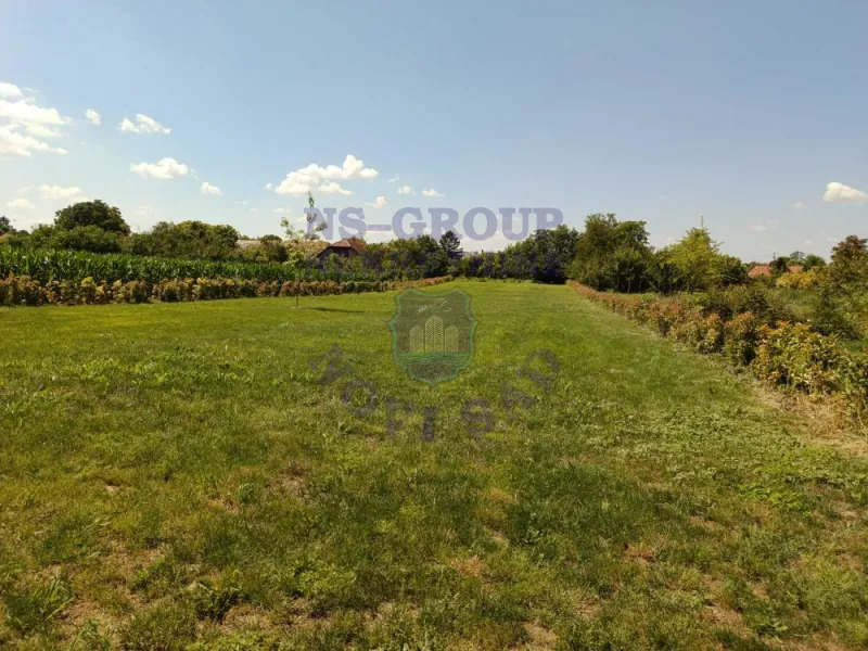 plac na prodaju Bački Petrovac 3244m2 573228