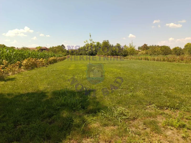 plac na prodaju Bački Petrovac 3244m2 573228