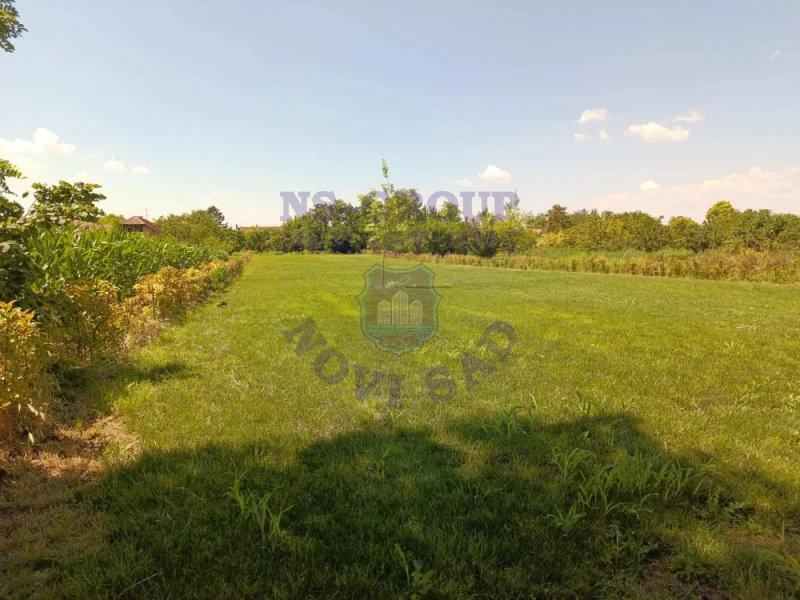 plac na prodaju Bački Petrovac, 3244m2 573228